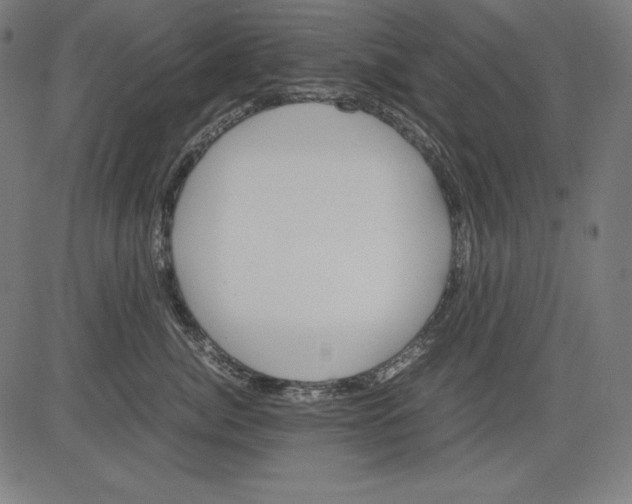 X0000081450764200702092249