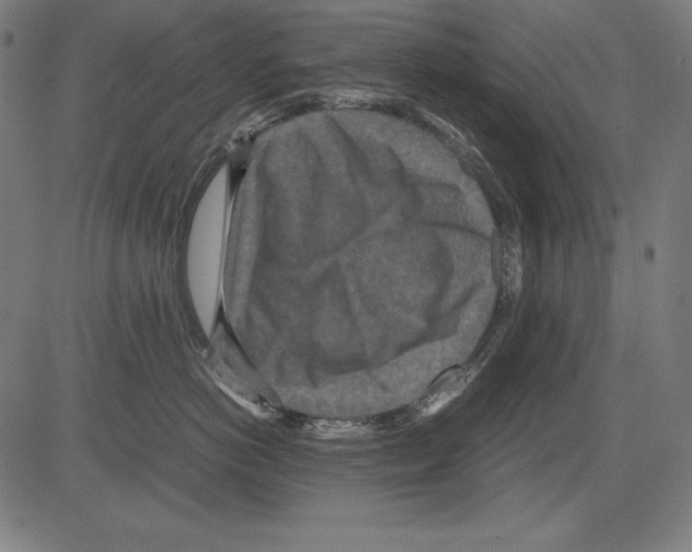 X0000081450766200702092249