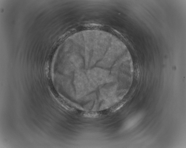X0000081450767200702092249