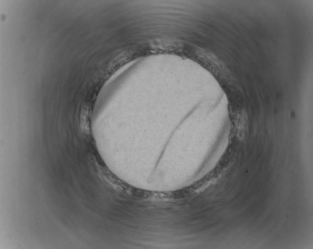 X0000081450770200702092249