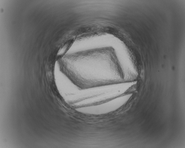 X0000081450771200702092249