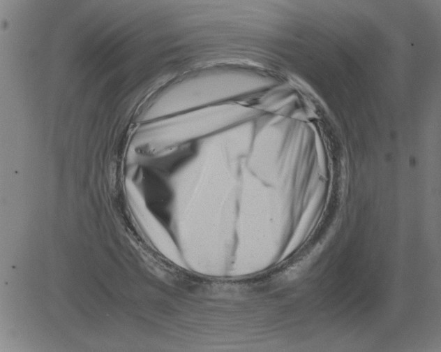 X0000081450777200702092249