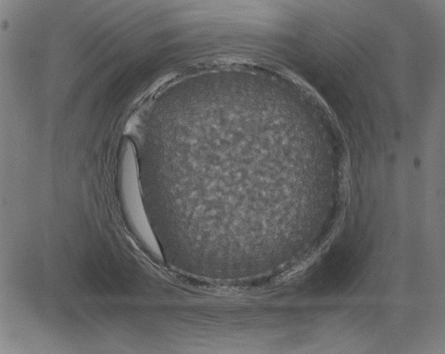 X0000081450785200702092248