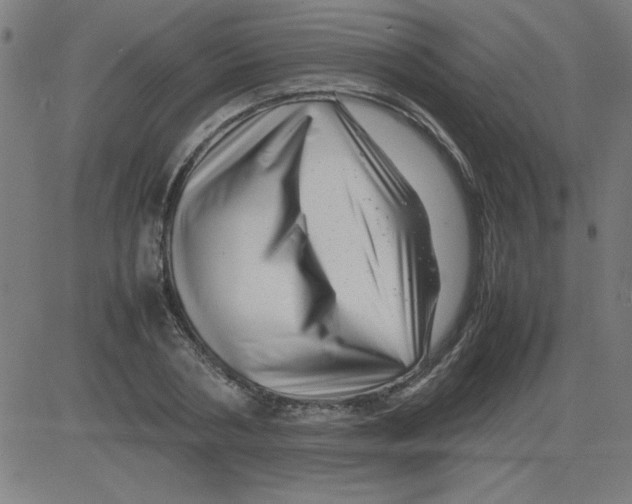 X0000081450786200702092248