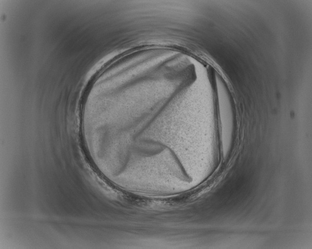 X0000081450787200702092248
