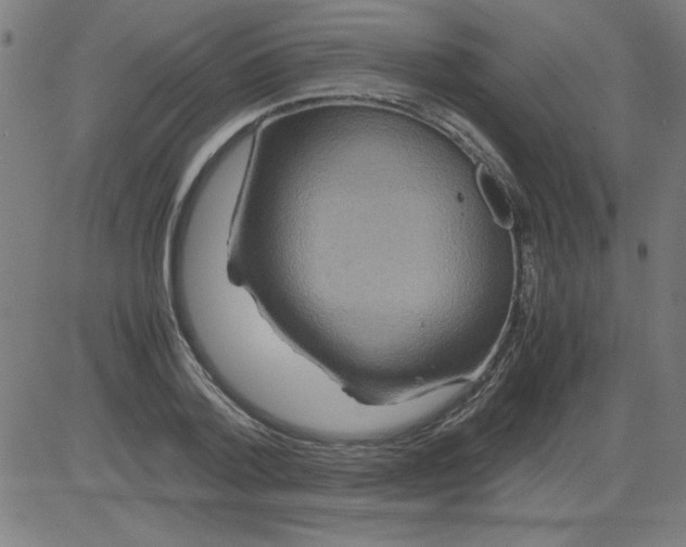 X0000081450788200702092248
