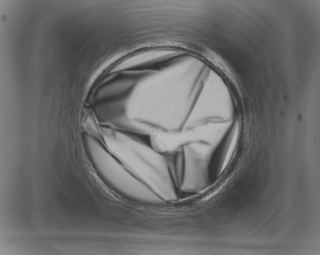 X0000081450789200702092248