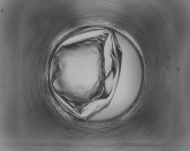 X0000081450791200702092248