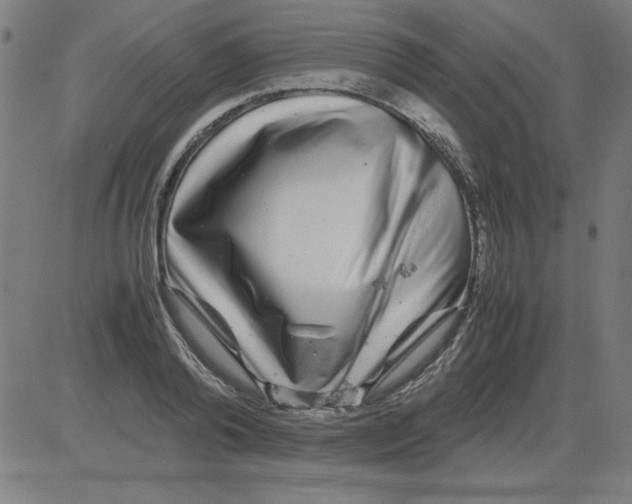 X0000081450792200702092248