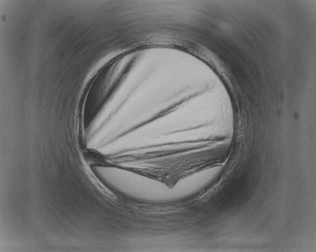 X0000081450795200702092248