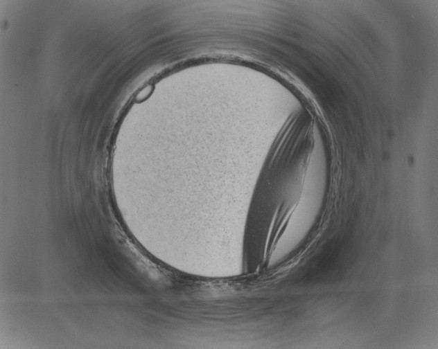 X0000081450799200702092248