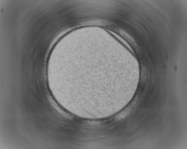 X0000081450800200702092248