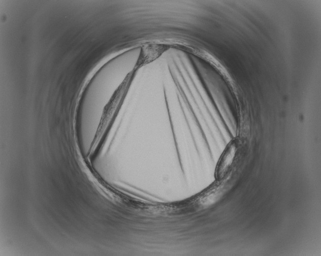 X0000081450803200702092248