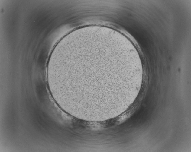 X0000081450807200702092248