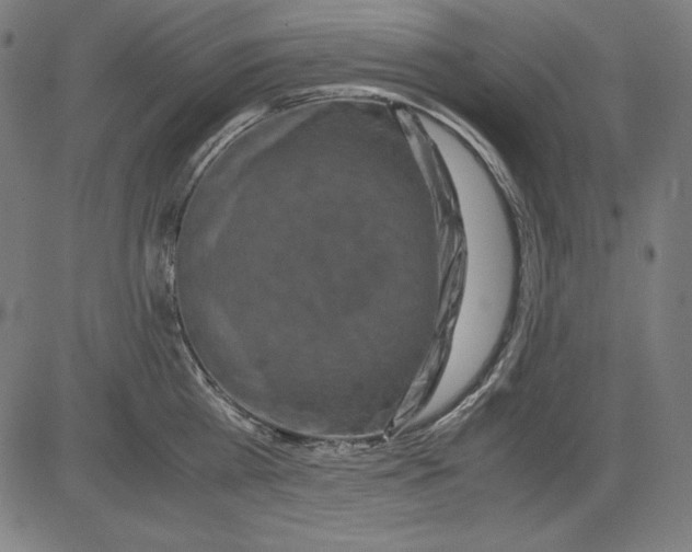 X0000081450809200702092248