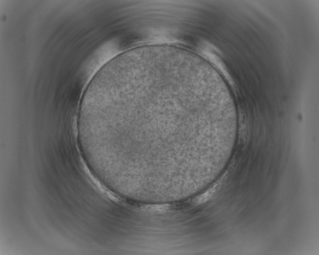 X0000081450810200702092248
