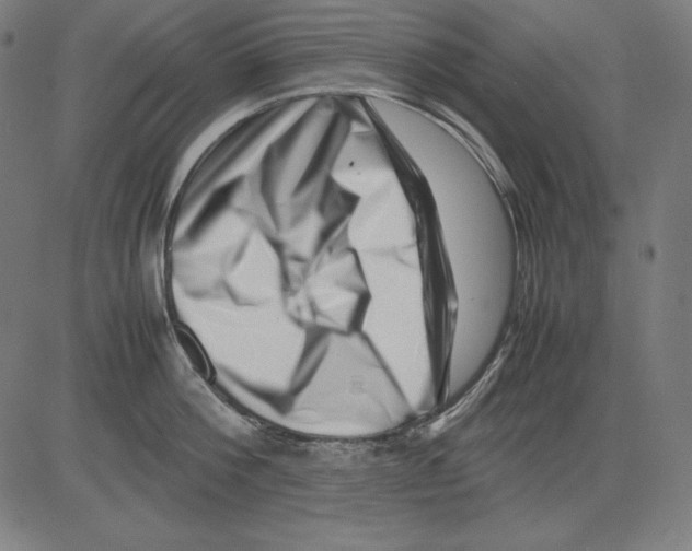 X0000081450812200702092248