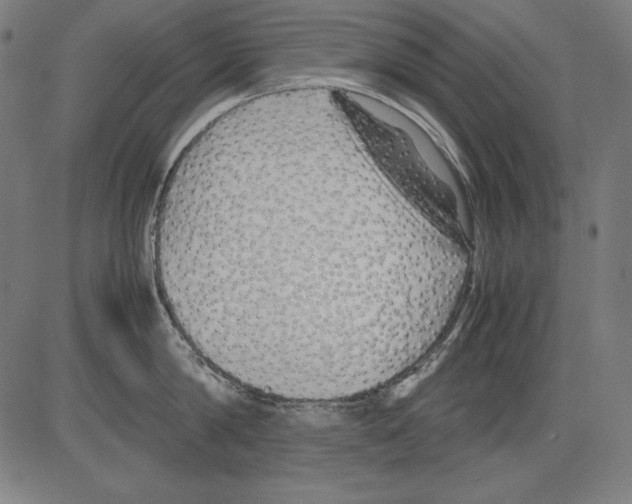 X0000081450814200702092248
