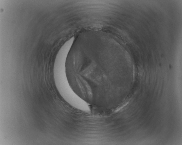 X0000081450818200702092247