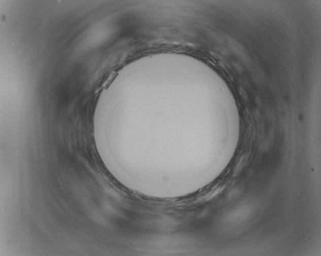 X0000081450820200702092247