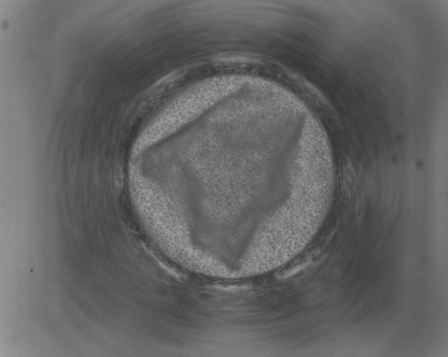 X0000081450821200702092247