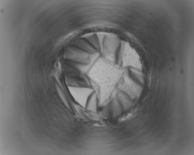X0000081450822200702092247