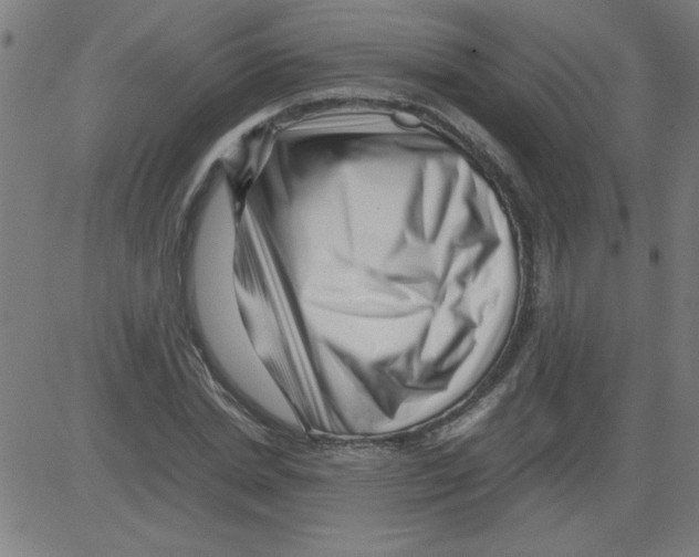 X0000081450830200702092247