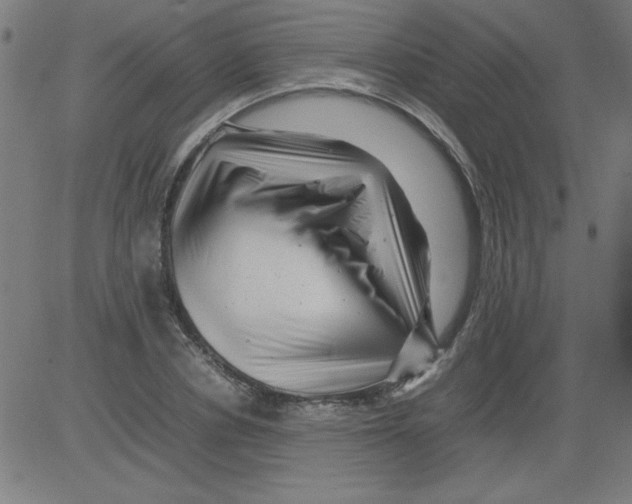 X0000081450834200702092247