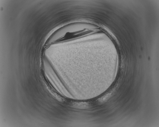 X0000081450837200702092247