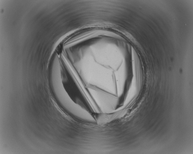 X0000081450838200702092248