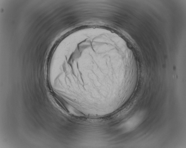 X0000081450840200702092248