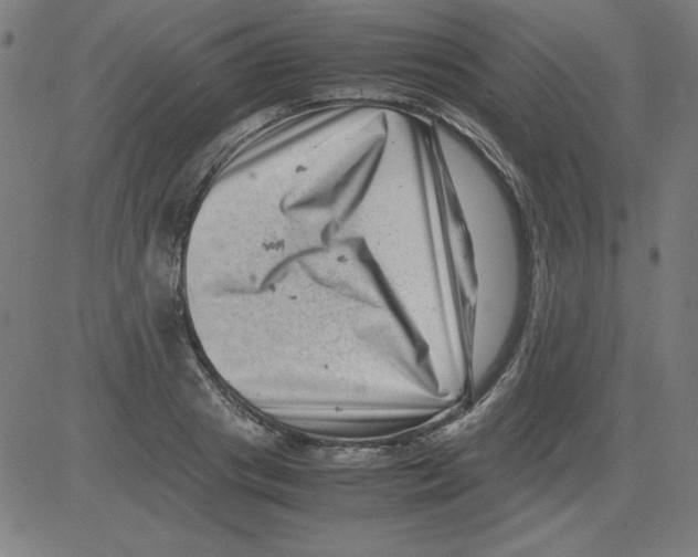 X0000081450841200702092248