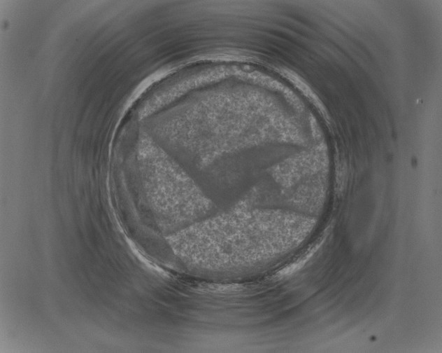 X0000081450845200702092248