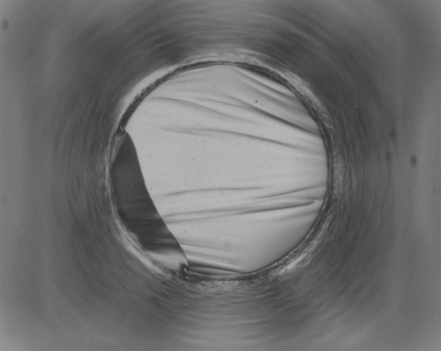 X0000081450846200702092248