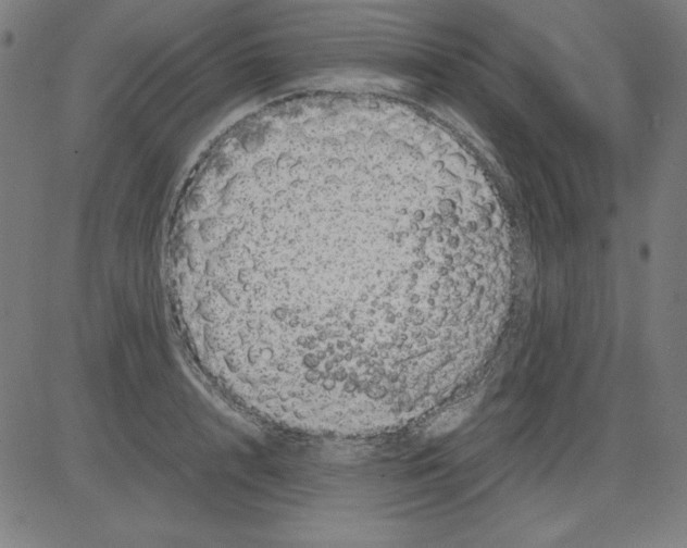X0000081450848200702092248