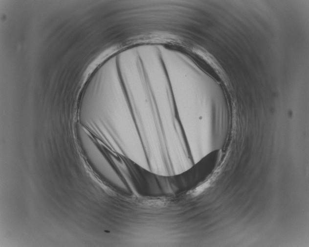 X0000081450850200702092248
