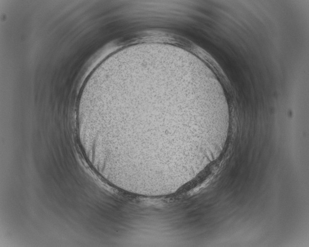 X0000081450852200702092248
