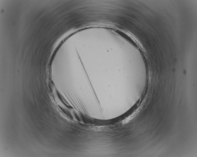 X0000081450854200702092248