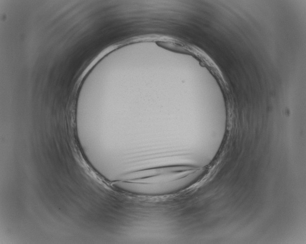 X0000081450860200702092248