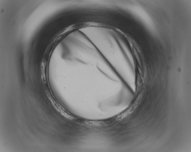 X0000081450862200702092248