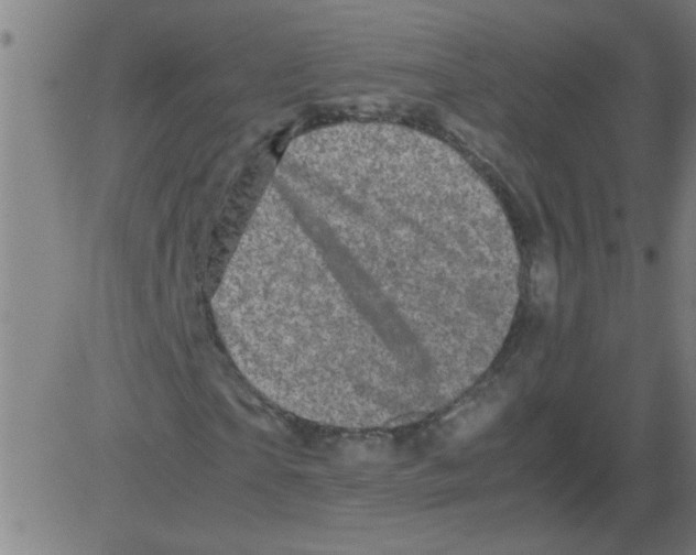 X0000081450865200702092247