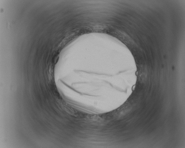 X0000081450866200702092247