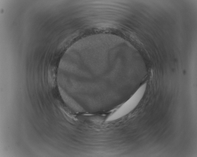 X0000081450868200702092247