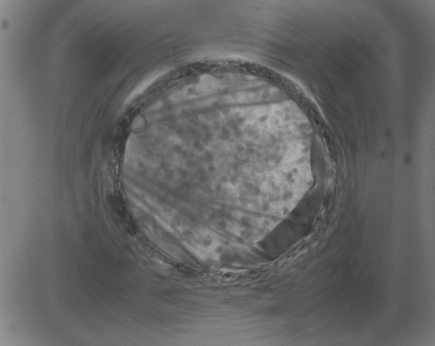 X0000081450871200702092247
