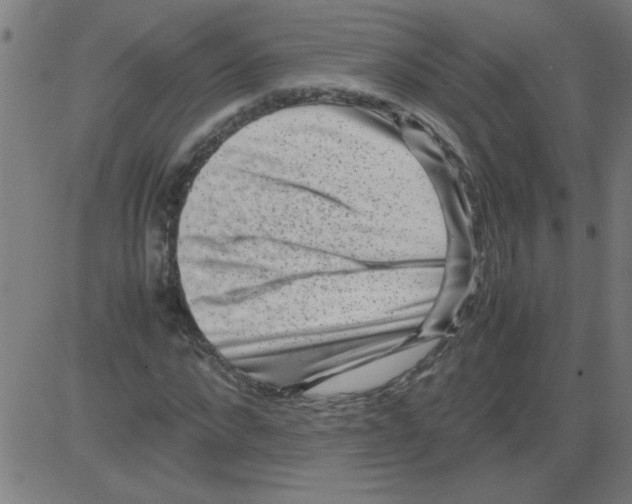 X0000081450872200702092247
