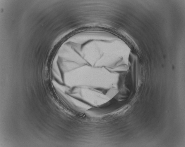 X0000081450876200702092247