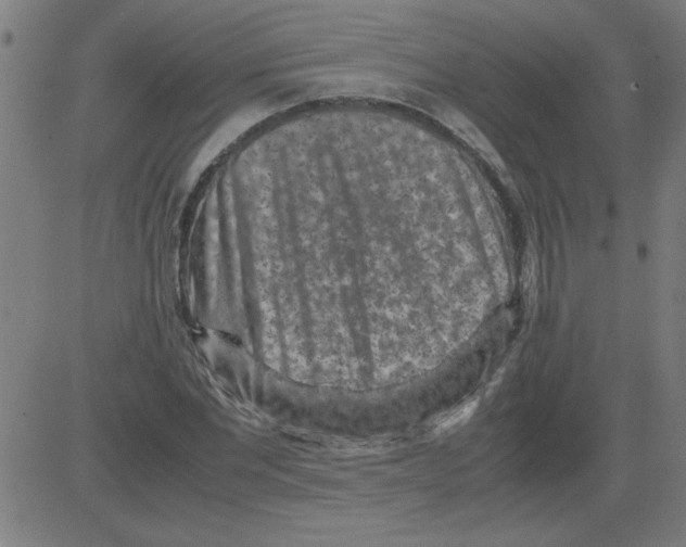 X0000081450877200702092247