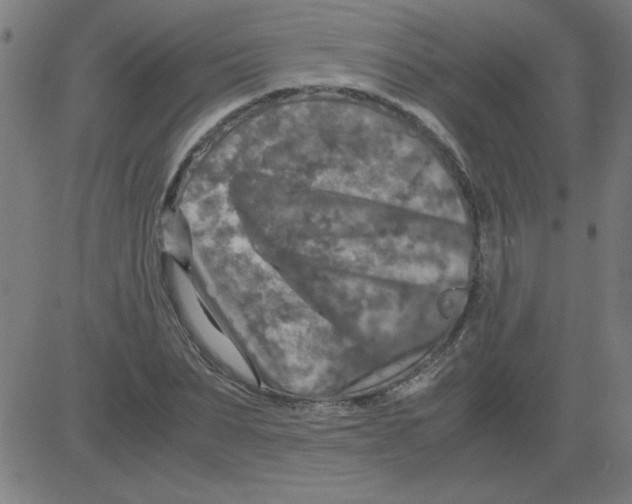 X0000081450879200702092247
