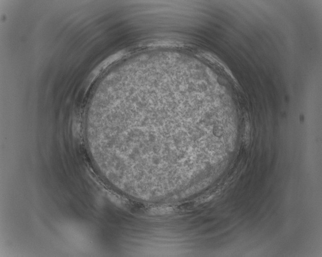 X0000081450882200702092247