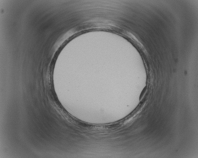 X0000081450883200702092247